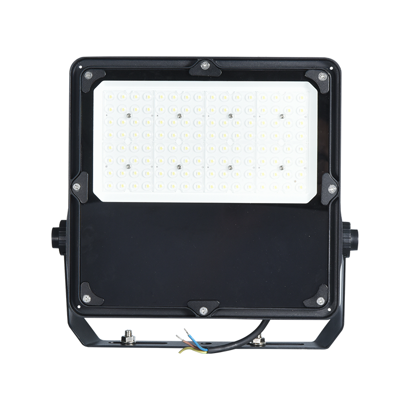 PY-BG01-100W Luce di inondazione ecologica di alta qualità