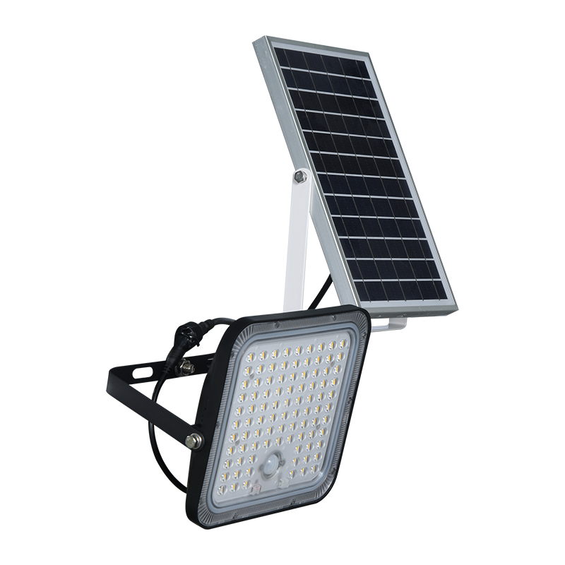 PY-SLFL60 Luce di inondazione solare con batteria agli ioni di litio