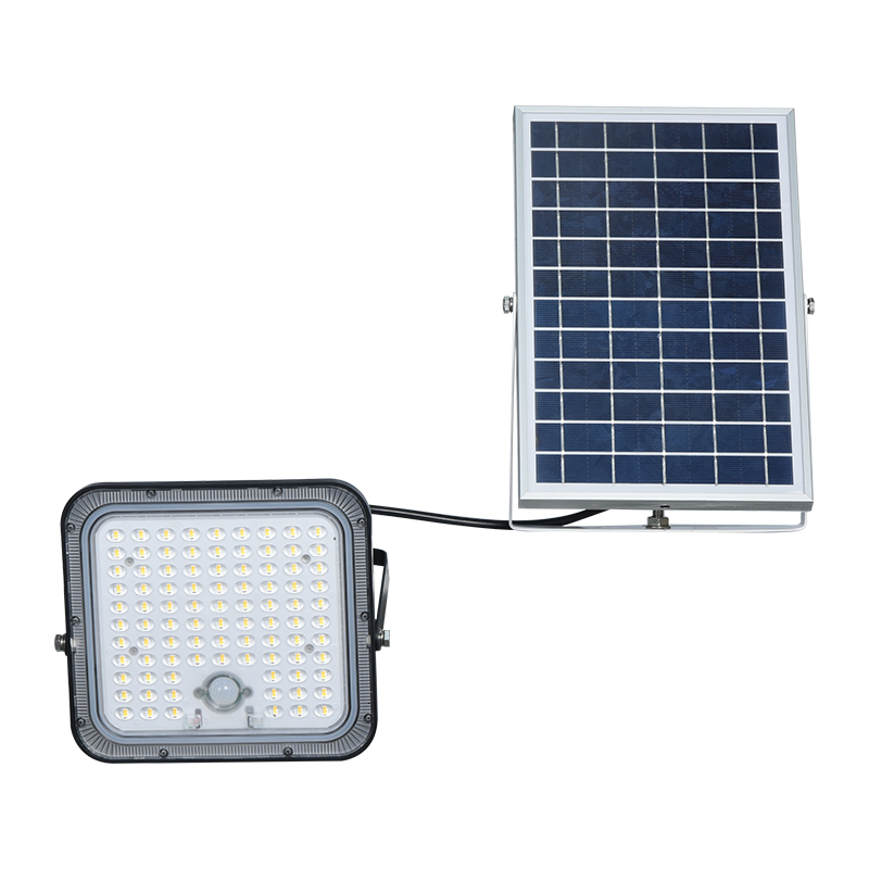 PY-SLFL60 Luce di inondazione solare con batteria agli ioni di litio